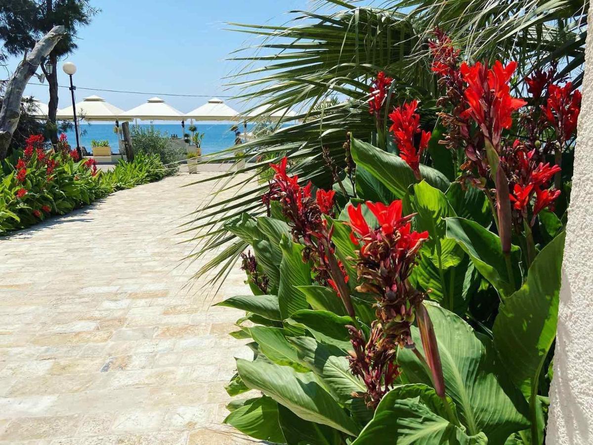 Apartments Kuce Lekovica Beach & Snack Bar- Bistro Экстерьер фото