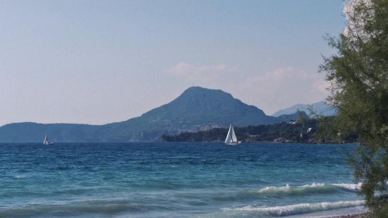 Apartments Kuce Lekovica Beach & Snack Bar- Bistro Экстерьер фото